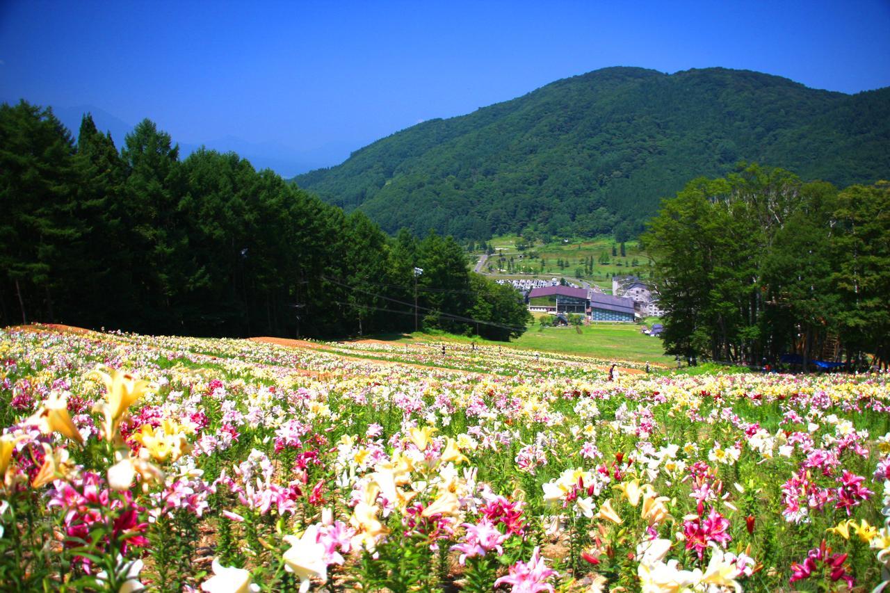 Hotel Harvest Madarao Shinano (Nagano) Exterior foto